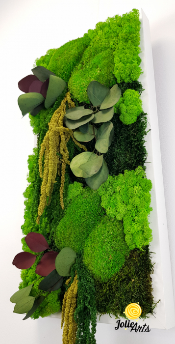 Tablou Etsy – Vertical, cu Licheni, Mușchi și Plante Naturale Stabilizate [6]