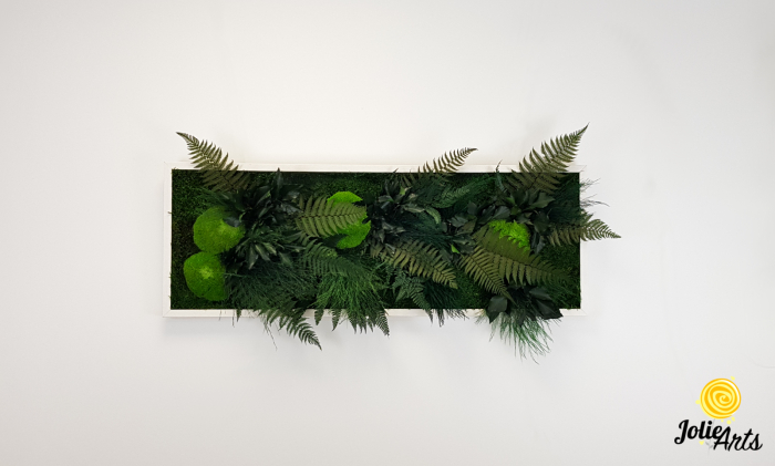 Tablou Exotic – Mușchi, Eucalipt și Plante Stabilizate [5]