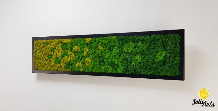Model Green Chromatic, Tablou Licheni Naturali Stabilizati [2]