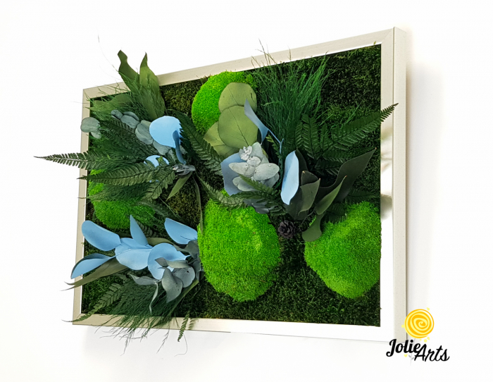 Tablou Green Day Blue Touch Licheni Mușchi Plante Stabilizate [4]