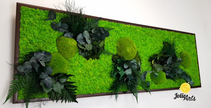 Tablou Green Day cu Licheni și Plante Naturale Stabilizate – Jolie Arts [5]