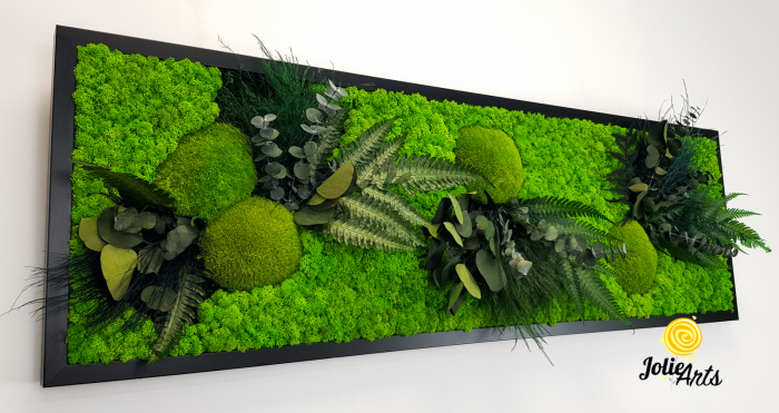 Tablou Green Day cu Licheni și Plante Naturale Stabilizate – Jolie Arts [8]