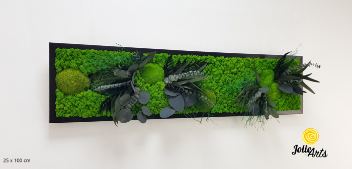 Tablou Green Day cu Licheni și Plante Naturale Stabilizate – Jolie Arts [1]
