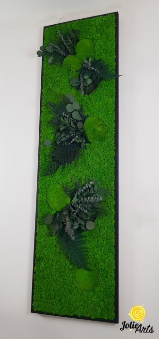 green-day-vertical-licheni-rama-neagra [4]