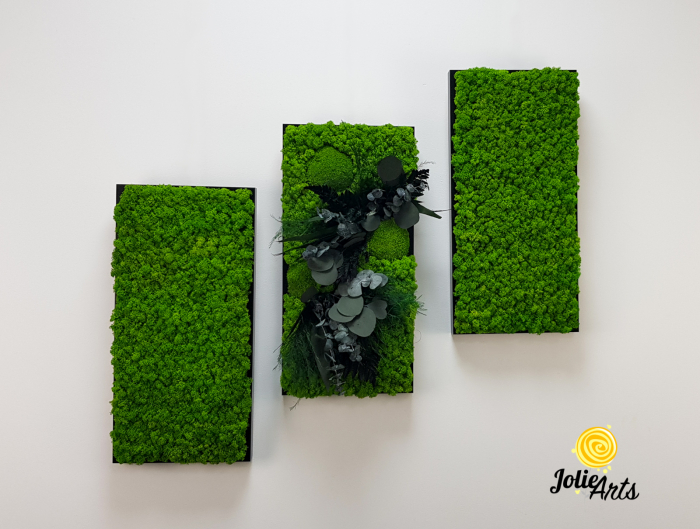 Set 3 Tablouri Green Day – Licheni și Plante Naturale Stabilizate [3]