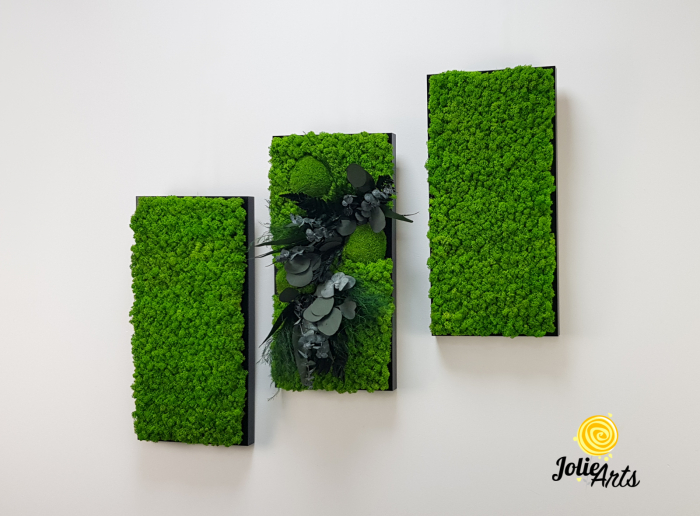 Set 3 Tablouri Green Day – Licheni și Plante Naturale Stabilizate [2]
