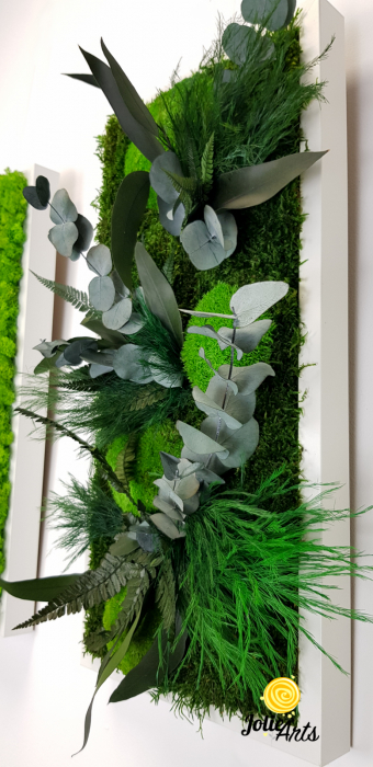 Set Green Day 3 Tablouri Licheni Mușchi Plante Stabilizate [6]