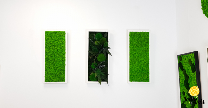 Set Green Day 3 Tablouri Licheni Mușchi Plante Stabilizate [5]