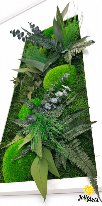 Set Green Day 3 Tablouri Licheni Mușchi Plante Stabilizate [7]