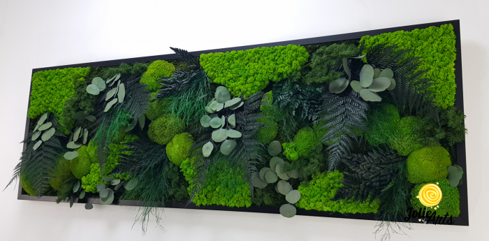 Tablou Green Island cu licheni și plante naturale – Jolie Arts [5]
