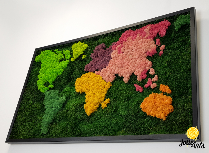 Tablou licheni, muschi plati, Model Harta, dimensiune 60 x 100 cm, rama culoare natur, Jolie Arts, www.tablouriculicheni.ro-3 [6]