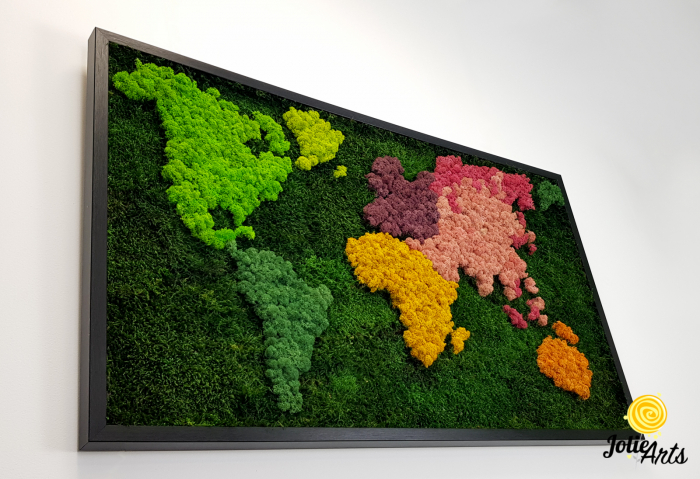 Tablou licheni, muschi plati, Model Harta, dimensiune 60 x 100 cm, rama culoare natur, Jolie Arts, www.tablouriculicheni.ro-3 [5]