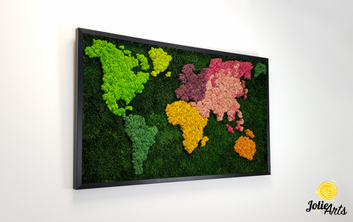 Tablou licheni, muschi plati, Model Harta, dimensiune 60 x 100 cm, rama culoare natur, Jolie Arts, www.tablouriculicheni.ro-3 [4]