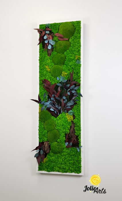 Model Ilona, Design Vertical, tablou licheni, muschi si plante naturale stabilizate [2]