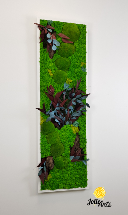 Model Ilona, Design Vertical, tablou licheni, muschi si plante naturale stabilizate [4]