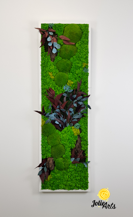 Model Ilona, Design Vertical, tablou licheni, muschi si plante naturale stabilizate [3]