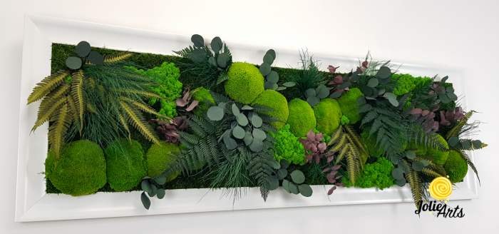 Tablou Island licheni mușchi plante stabilizate [7]