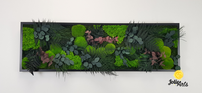 Tablou Island licheni mușchi plante stabilizate [5]