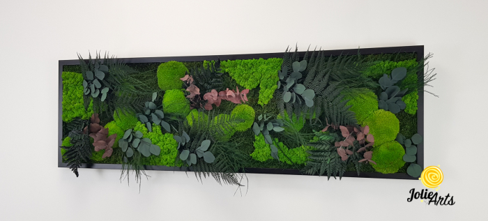 Tablou Island licheni mușchi plante stabilizate [4]