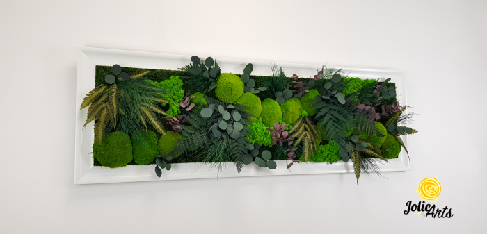 Tablou Island licheni mușchi plante stabilizate [5]