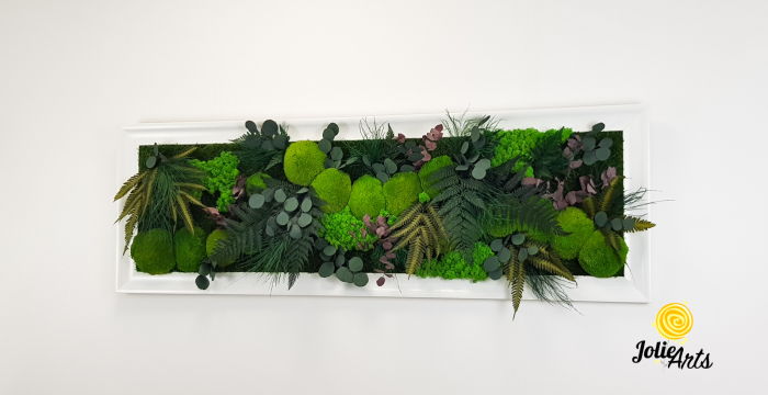 Tablou Island licheni mușchi plante stabilizate [3]