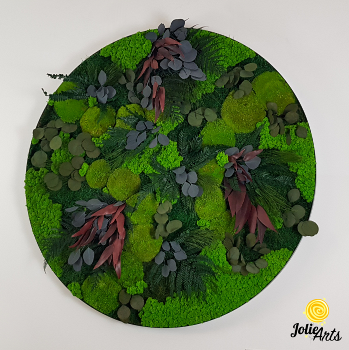 Model Island cu ramă rotundă – Tablou cu licheni și plante naturale – Jolie Arts [4]