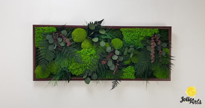 Tablou Island licheni mușchi plante stabilizate [4]