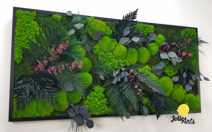 Tablou Island licheni mușchi plante stabilizate [6]