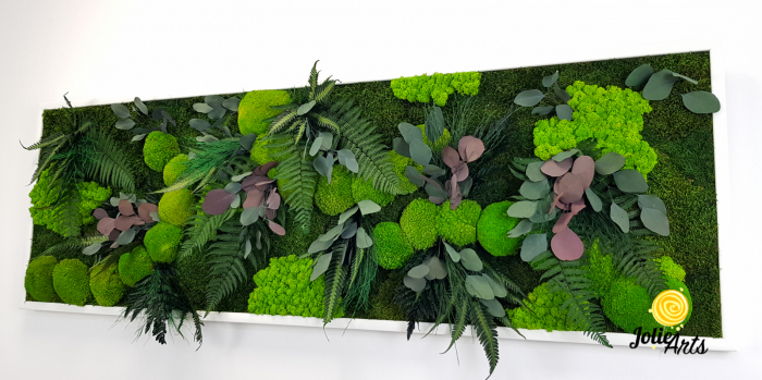 Tablou Island licheni mușchi plante stabilizate [6]