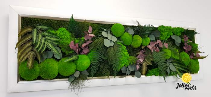 Tablou Island licheni mușchi plante stabilizate [7]