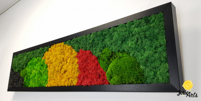 Tablou licheni si muschi naturali stabilizati, Model Jamaica, dimensiune 20 x 80 cm, rama neagra-2 [6]