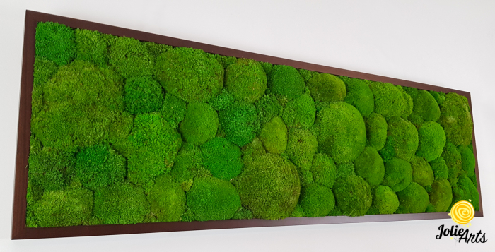 Tablou cu mușchi bombati verde deschis naturali stabilizați, efect 3D, handmade [5]
