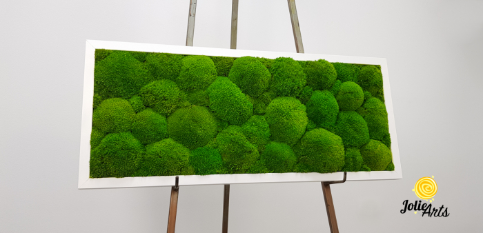 Tablou cu mușchi bombati verde deschis naturali stabilizați, efect 3D, handmade [8]
