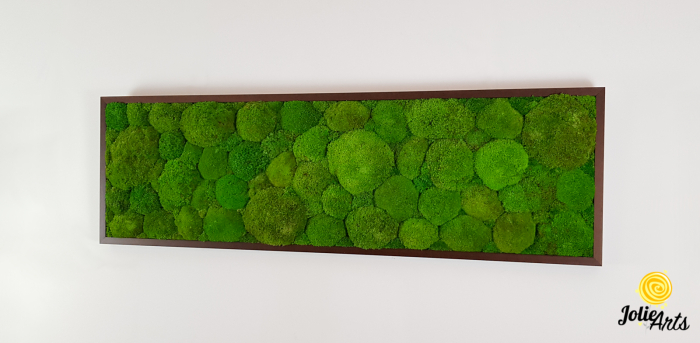 Tablou cu mușchi bombati verde deschis naturali stabilizați, efect 3D, handmade [2]