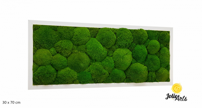 Tablou cu mușchi bombati verde deschis naturali stabilizați, efect 3D, handmade [2]