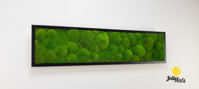 Tablou cu mușchi bombati verde deschis naturali stabilizați, efect 3D, handmade [5]