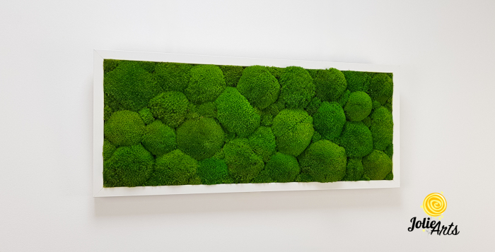 Tablou cu mușchi bombati verde deschis naturali stabilizați, efect 3D, handmade [5]