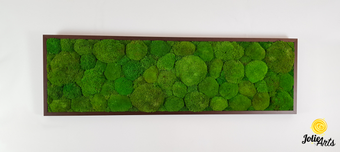 Tablou cu mușchi bombati verde deschis naturali stabilizați, efect 3D, handmade [3]