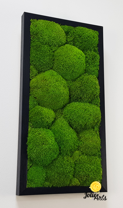 Tablou cu mușchi bombati verde deschis naturali stabilizați, efect 3D, handmade [5]