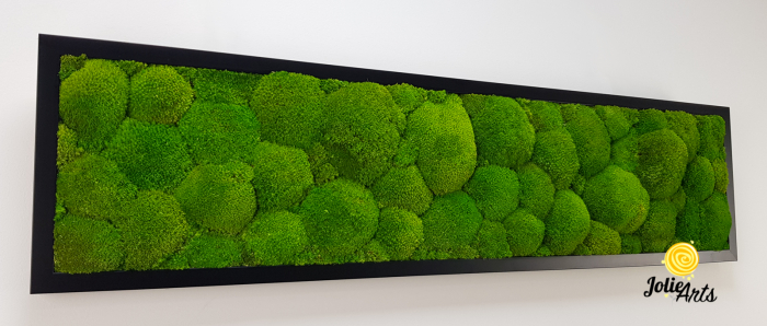 Tablou cu mușchi bombati verde deschis naturali stabilizați, efect 3D, handmade [7]