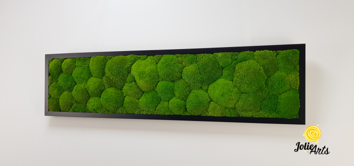 Tablou cu mușchi bombati verde deschis naturali stabilizați, efect 3D, handmade [3]