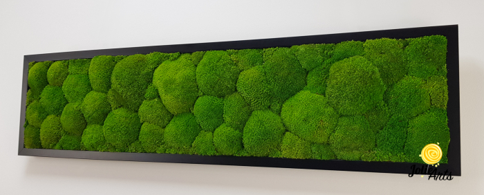 Tablou cu mușchi bombati verde deschis naturali stabilizați, efect 3D, handmade [6]