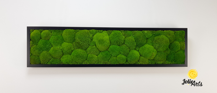 Tablou cu mușchi bombati verde deschis naturali stabilizați, efect 3D, handmade [4]