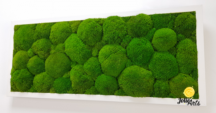 Tablou cu mușchi bombati verde deschis naturali stabilizați, efect 3D, handmade [6]