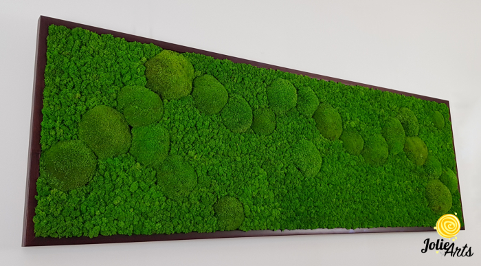 tablou muschi bombati verde deschis si licheni naturali stabilizati Jolie Arts [5]