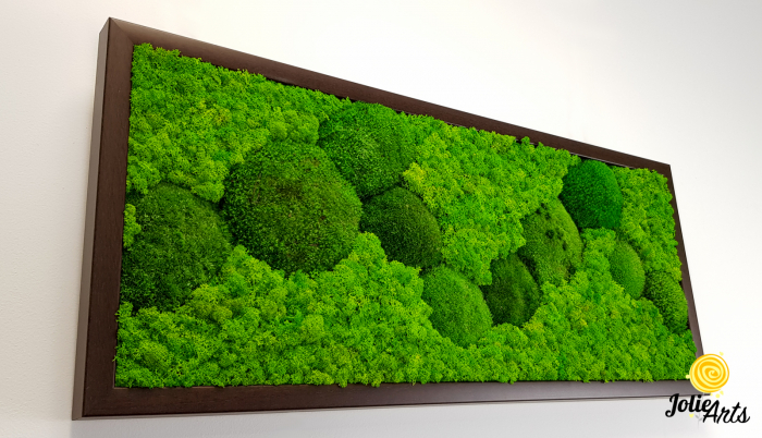 tablou muschi bombati verde deschis si licheni naturali stabilizati Jolie Arts [5]