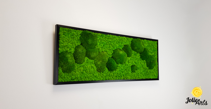 tablou muschi bombati verde deschis si licheni naturali stabilizati Jolie Arts [4]