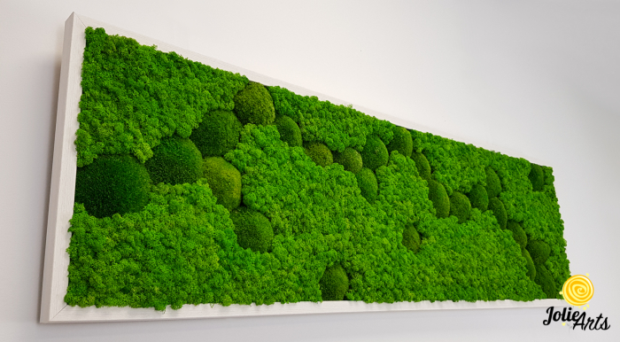 tablou muschi bombati verde deschis si licheni naturali stabilizati Jolie Arts [6]