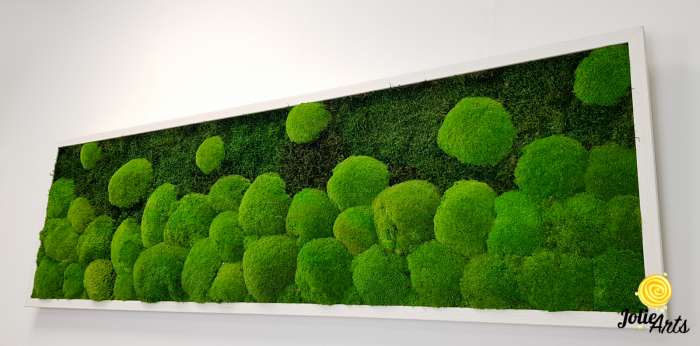 tablou-muschi-bombati-verde-deschis-si-muschi-plat [6]