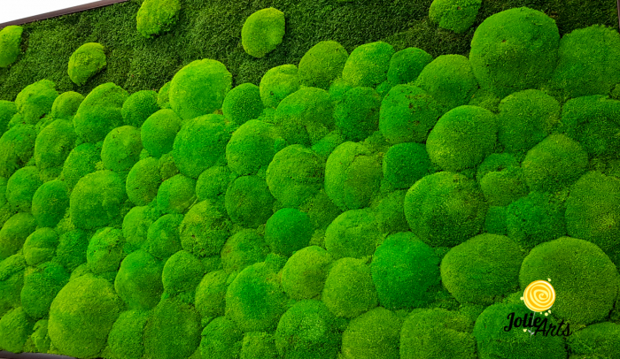 tablou-muschi-bombati-verde-deschis-si-muschi-plat [5]